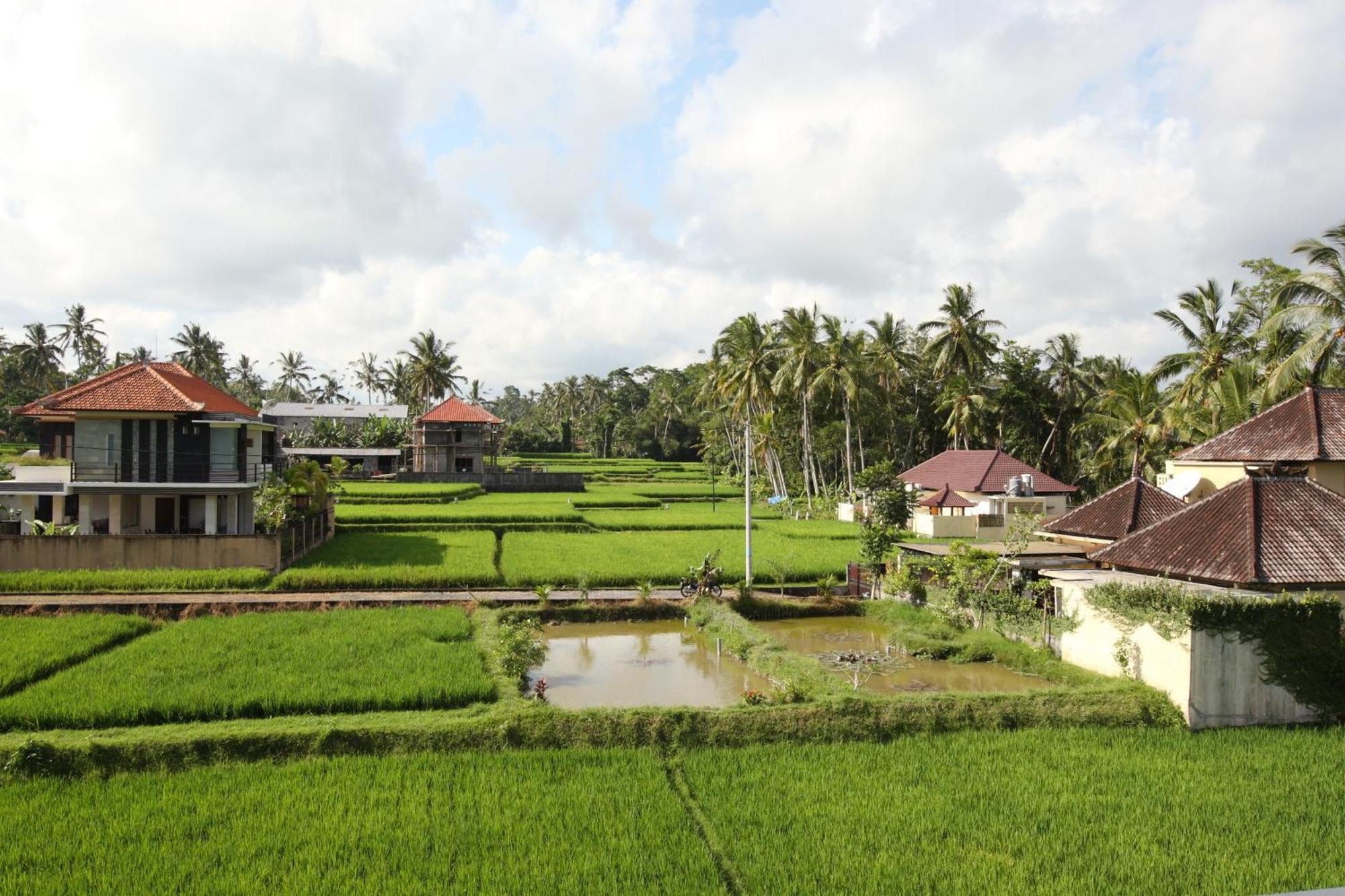 Swarapadi Villa Ubud  Ngoại thất bức ảnh