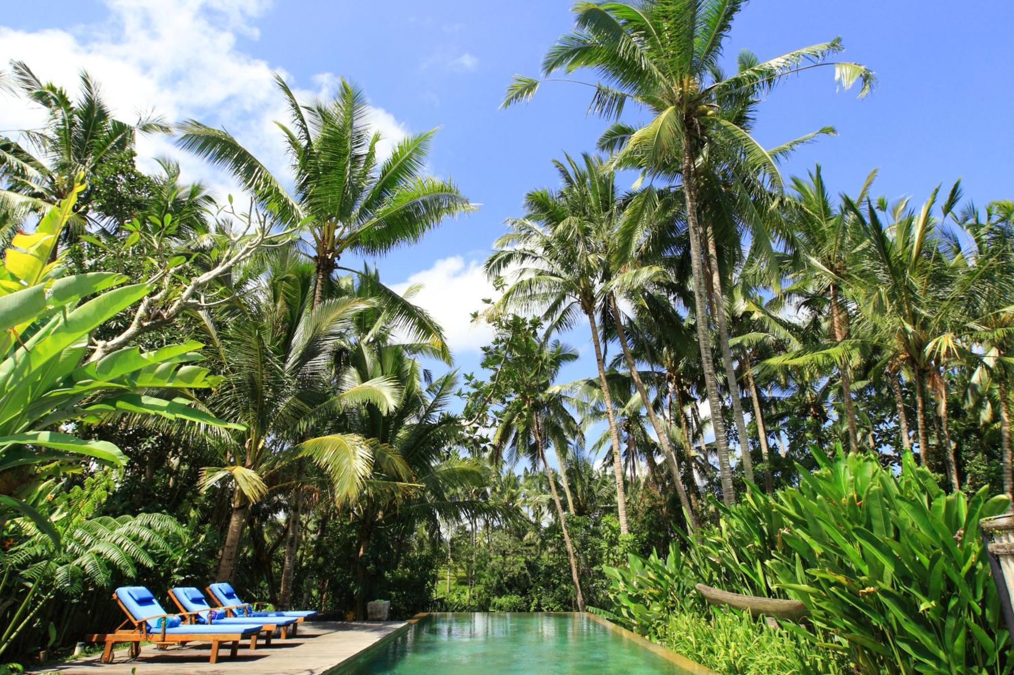 Swarapadi Villa Ubud  Ngoại thất bức ảnh